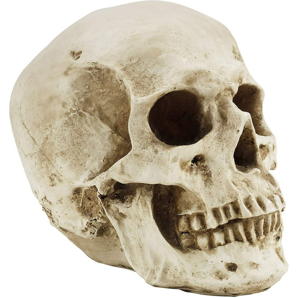 Resin Replica Human Skull Model   Party Horror Party Prop Home Decor PICK